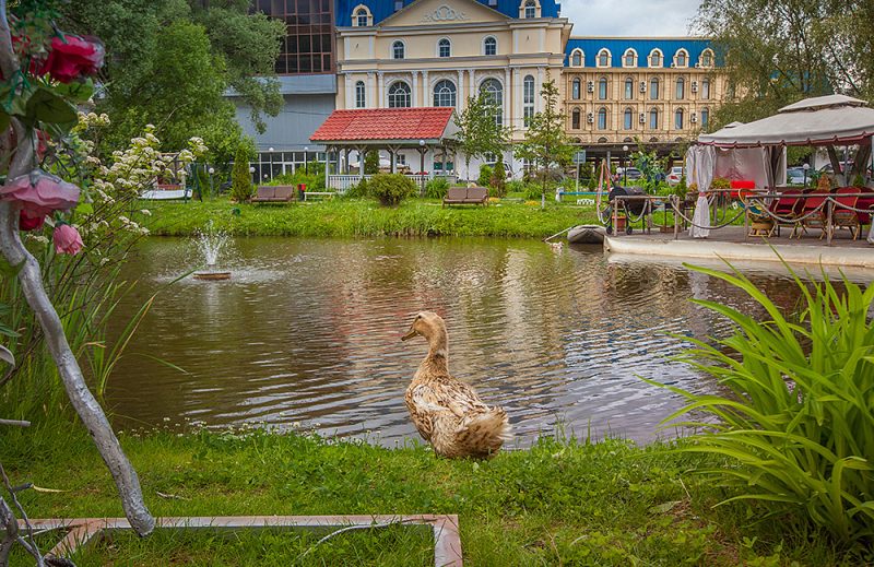Шашлычный выпускной для 4 класса во Vnukovo Village Park Hotel
